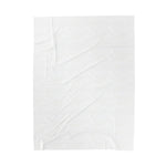 Plush Blanket - Hustle with Money Design